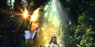 Czym jest świadomość emocjonalna?