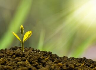 Jak wspierać rozwój społeczny?