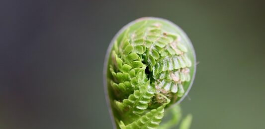 Jak rozwijać inteligencję emocjonalną?