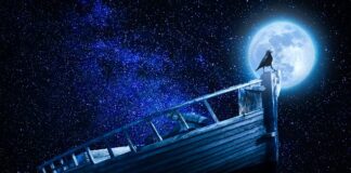 Co znajduje się w podstawie programowej?