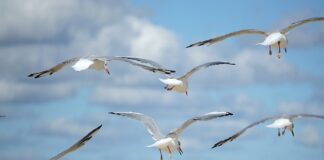 Jak rozwinąć umiejętności interpersonalne?