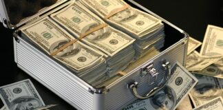 Ile zarabia dyrektor w KNF?