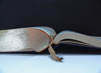 Co warto przeczytać?