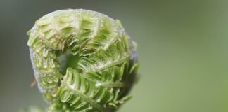 Czy trzeba się rozwijać?