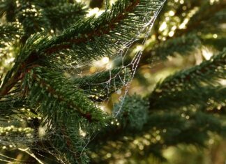 Co to są potrzeby człowieka?