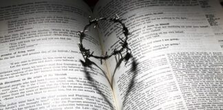 Jak być dobrym współpracownikiem?