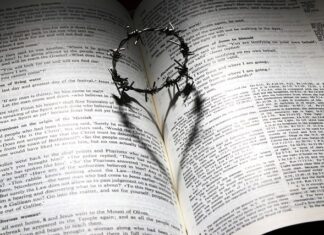 Jak być dobrym współpracownikiem?