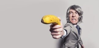 Kto jest szefem KNF?