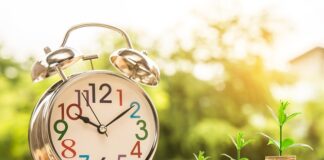 Kto zarządza środkami z PPK?