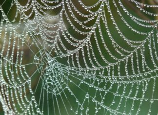 Jak połączyć kilka komputerów w sieć? Jak połączyć kilka komputerów w sieć?