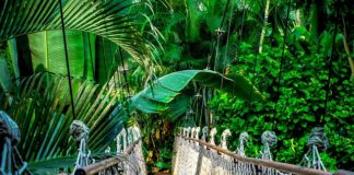 Ile trwa kurs na testera oprogramowania?