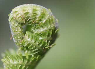 Jak stale się rozwijać?