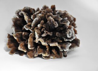 Jak wejść na poziom odwagi?