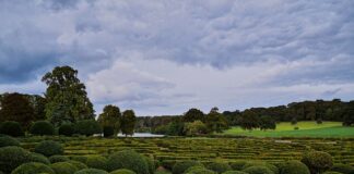 Czy hedging walutowy podlega podatkowi u źródła?