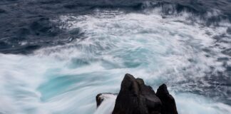 Kiedy ceny paliw pójdą w dół?