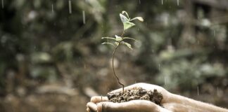 Co rozumiesz przez rozwój?