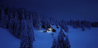 Jaki front nad Polską?