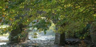 Jakie są podstawy przedsiębiorczości?