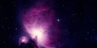 Jakie badania trzeba zrobić do pracy w gastronomii?