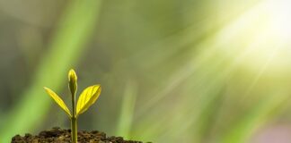 W jaki sposób można wspierać rozwój emocjonalny dziecka?