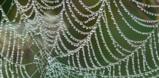 Czym jest sieć komputerowa i jakie są jej rodzaje?