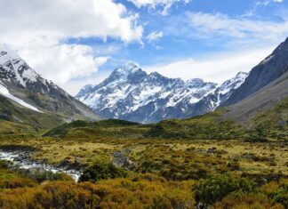 W którym roku weszła nowa podstawa programowa? W którym roku weszła nowa podstawa programowa?